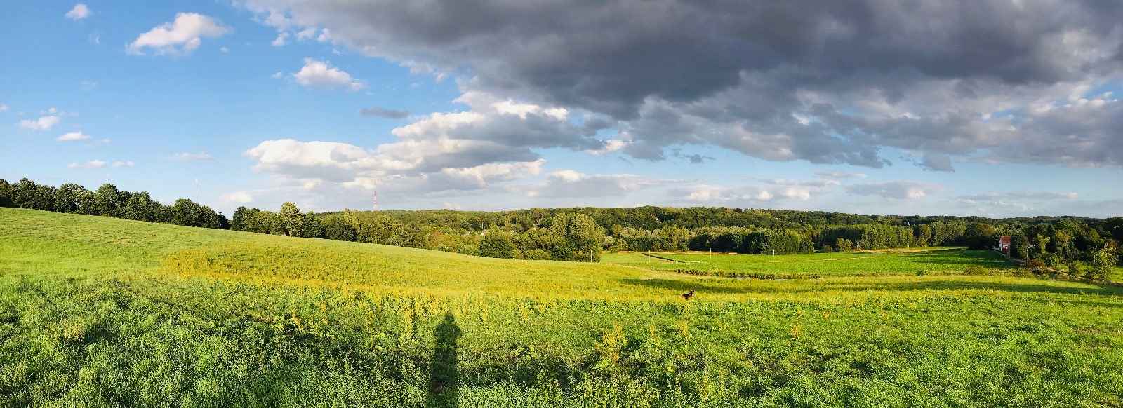 Programmatische Aanpak Stikstofdeposities (PAS) en Kritische Depositiewaarden (KDW's) (deel 1)